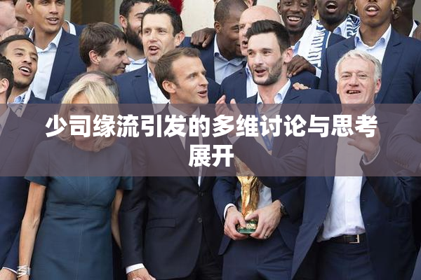 少司缘流引发的多维讨论与思考展开