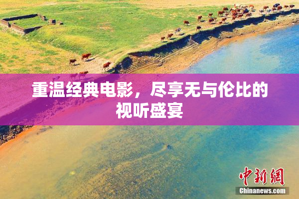 重温经典电影，尽享无与伦比的视听盛宴