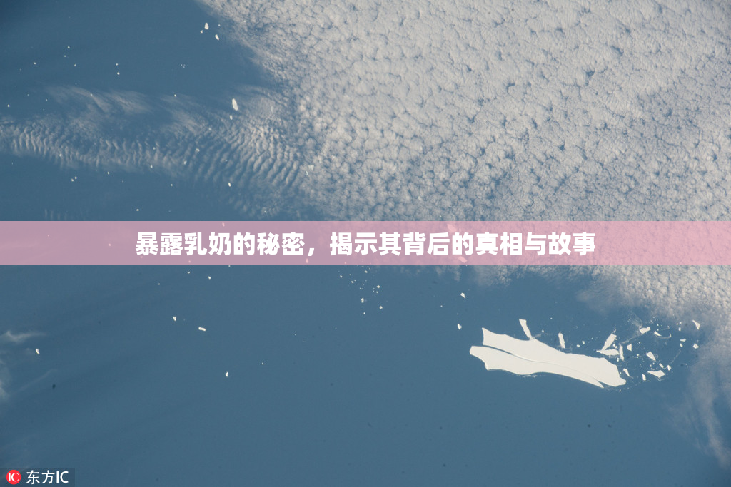 暴露乳奶的秘密，揭示其背后的真相与故事