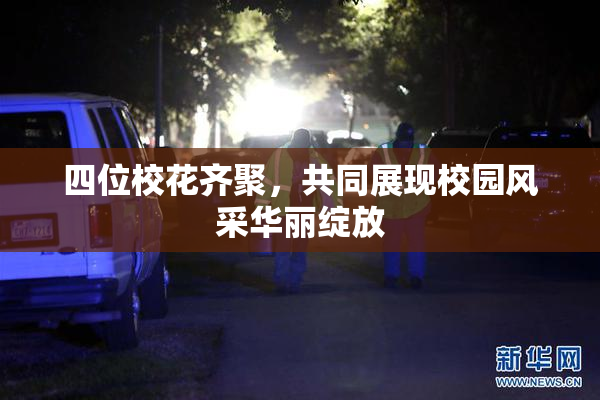 四位校花齐聚，共同展现校园风采华丽绽放