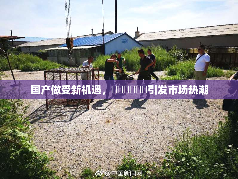国产做受新机遇，❌‌❌‌❌‌引发市场热潮