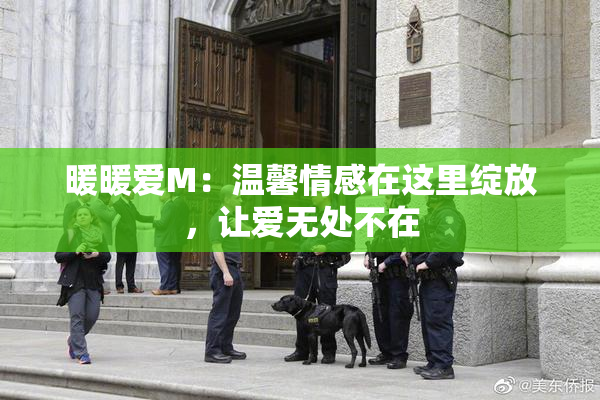 暖暖爱M：温馨情感在这里绽放，让爱无处不在