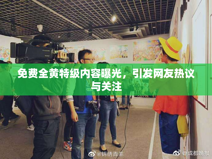 免费全黄特级内容曝光，引发网友热议与关注