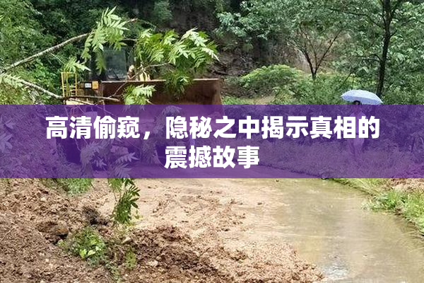 高清偷窥，隐秘之中揭示真相的震撼故事