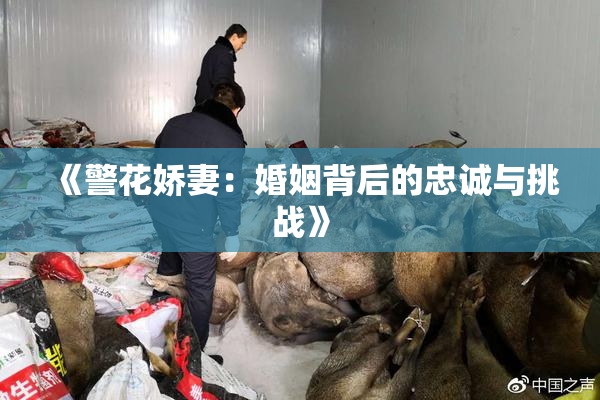 《警花娇妻：婚姻背后的忠诚与挑战》