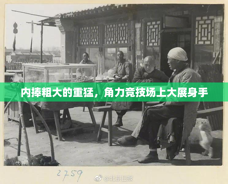 内捧粗大的重猛，角力竞技场上大展身手