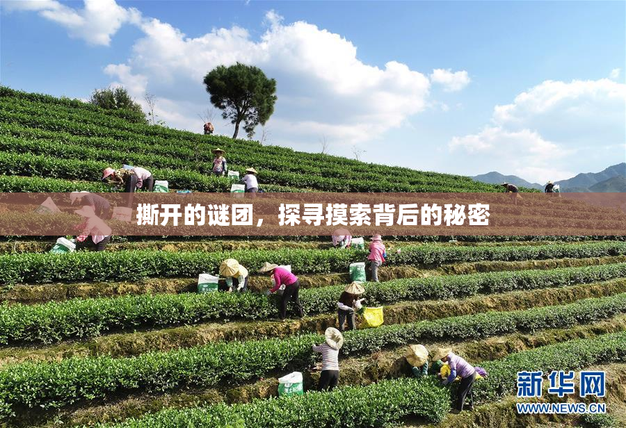 撕开的谜团，探寻摸索背后的秘密