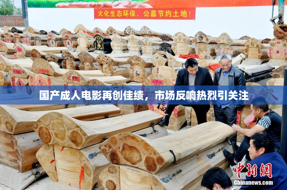 国产成人电影再创佳绩，市场反响热烈引关注