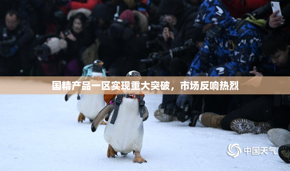 国精产品一区实现重大突破，市场反响热烈
