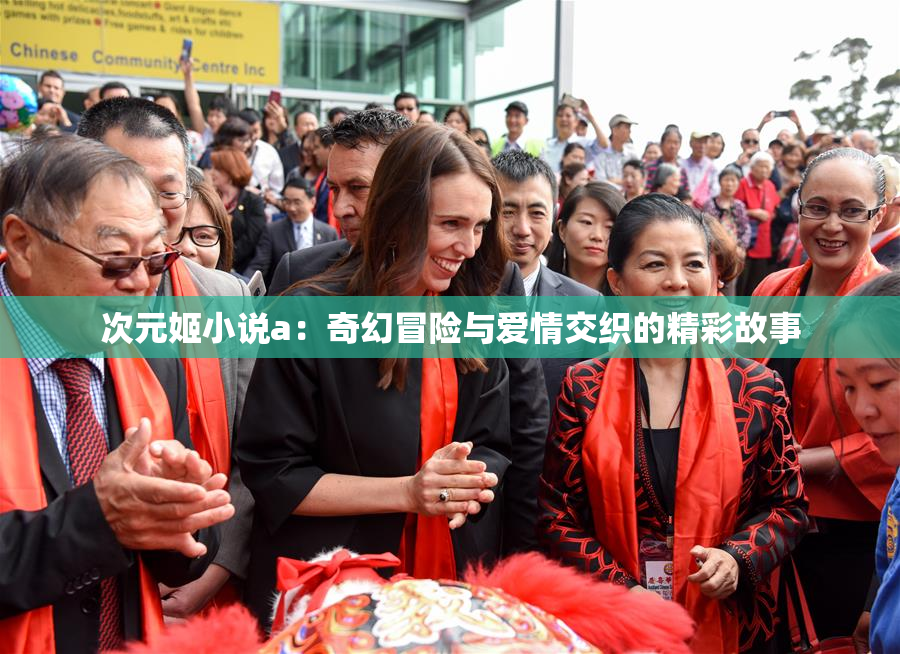 次元姬小说a：奇幻冒险与爱情交织的精彩故事