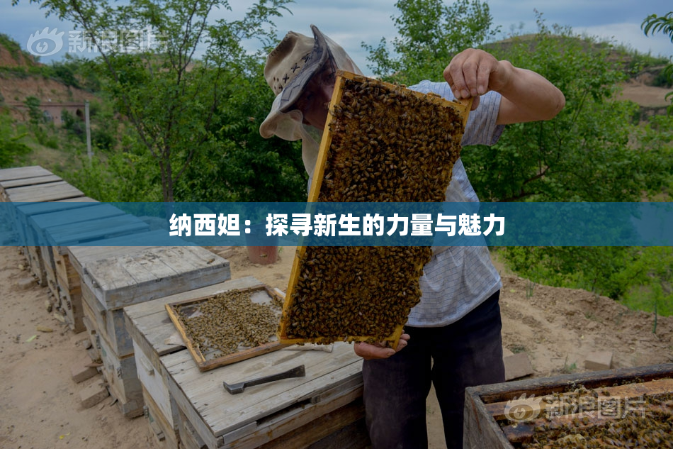 纳西妲：探寻新生的力量与魅力