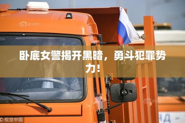 卧底女警揭开黑暗，勇斗犯罪势力！