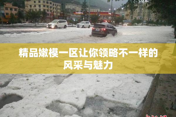 精品嫩模一区让你领略不一样的风采与魅力
