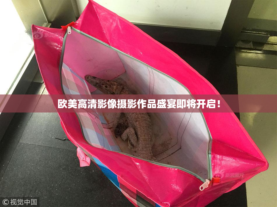 欧美高清影像摄影作品盛宴即将开启！