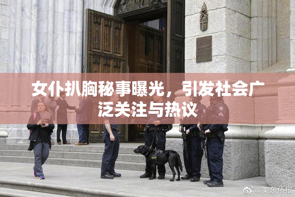 女仆扒胸秘事曝光，引发社会广泛关注与热议