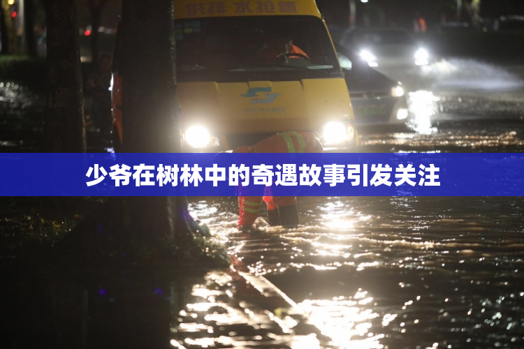 少爷在树林中的奇遇故事引发关注