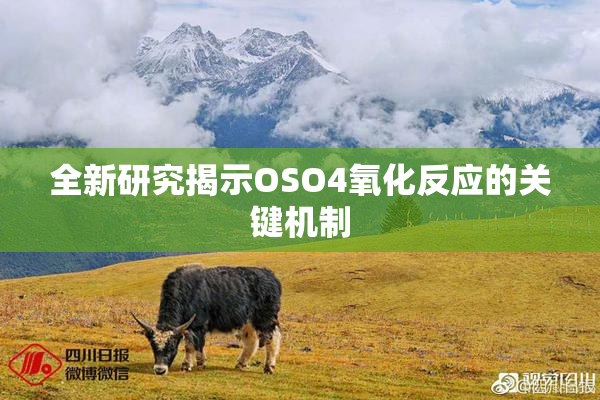 全新研究揭示OSO4氧化反应的关键机制