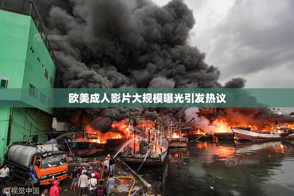 欧美成人影片大规模曝光引发热议
