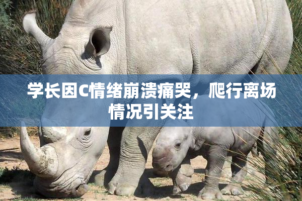 学长因C情绪崩溃痛哭，爬行离场情况引关注