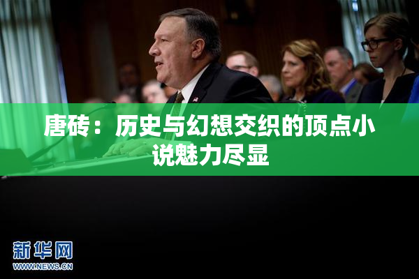唐砖：历史与幻想交织的顶点小说魅力尽显