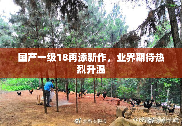 国产一级18再添新作，业界期待热烈升温