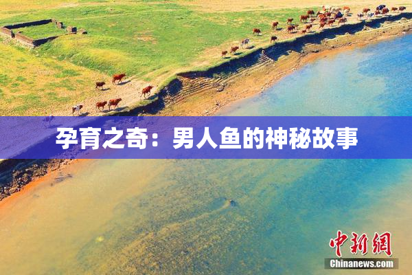孕育之奇：男人鱼的神秘故事