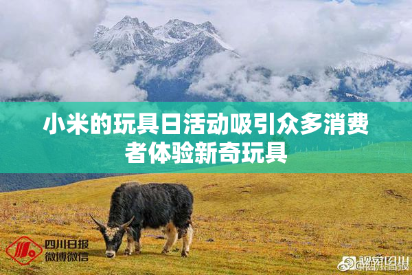 小米的玩具日活动吸引众多消费者体验新奇玩具