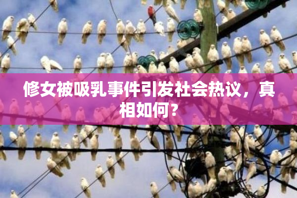 修女被吸乳事件引发社会热议，真相如何？