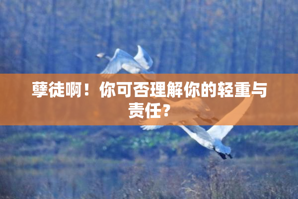 孽徒啊！你可否理解你的轻重与责任？