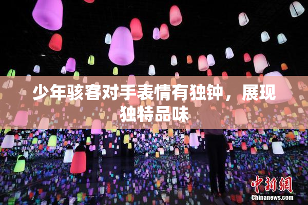 少年骇客对手表情有独钟，展现独特品味