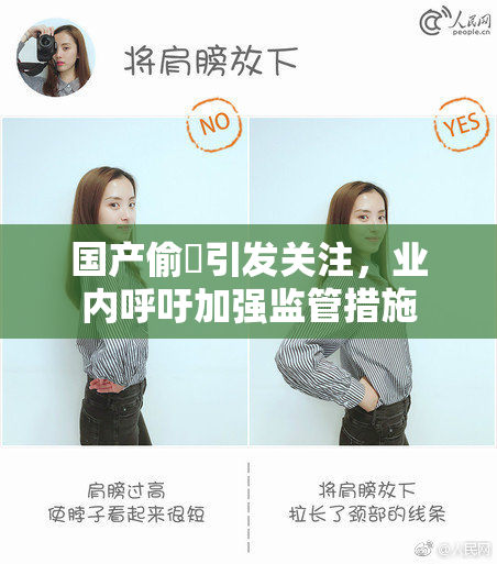 国产偷抇引发关注，业内呼吁加强监管措施