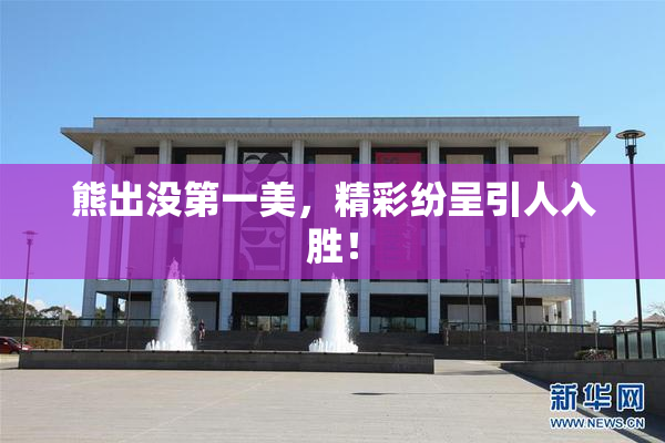 熊出没第一美，精彩纷呈引人入胜！