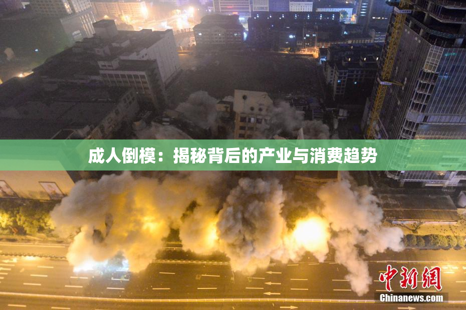成人倒模：揭秘背后的产业与消费趋势