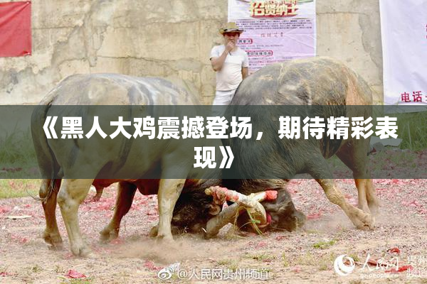 《黑人大鸡震撼登场，期待精彩表现》