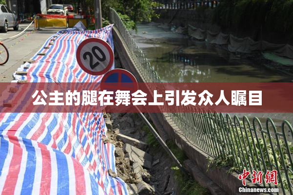 公主的腿在舞会上引发众人瞩目