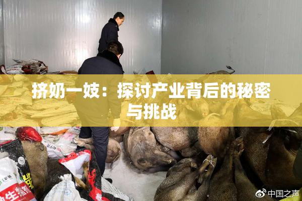 挤奶一妓：探讨产业背后的秘密与挑战