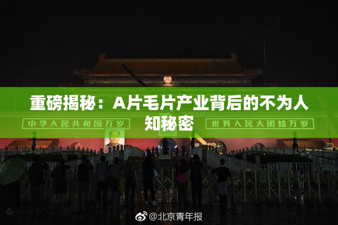 重磅揭秘：A片毛片产业背后的不为人知秘密
