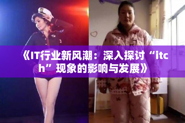 《IT行业新风潮：深入探讨“itch”现象的影响与发展》