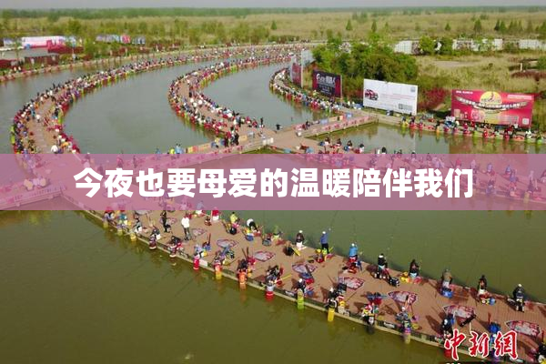 今夜也要母爱的温暖陪伴我们