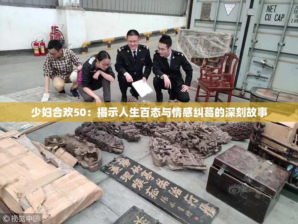 少妇合欢50：揭示人生百态与情感纠葛的深刻故事