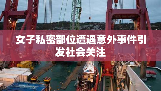 女子私密部位遭遇意外事件引发社会关注