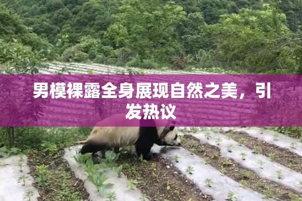男模裸露全身展现自然之美，引发热议
