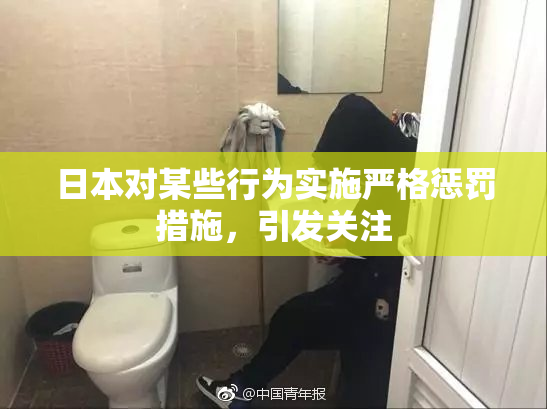 日本对某些行为实施严格惩罚措施，引发关注