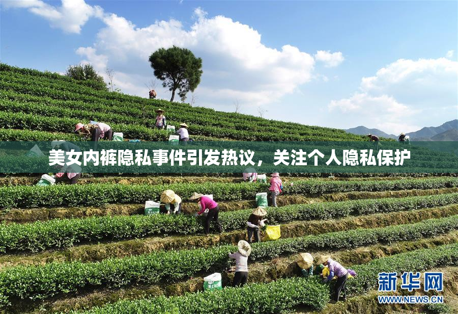 美女内裤隐私事件引发热议，关注个人隐私保护