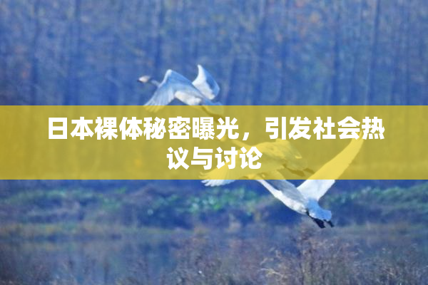 日本裸体秘密曝光，引发社会热议与讨论