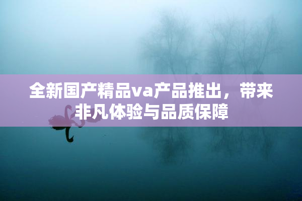 全新国产精品va产品推出，带来非凡体验与品质保障