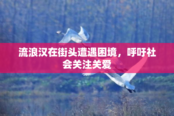 流浪汉在街头遭遇困境，呼吁社会关注关爱