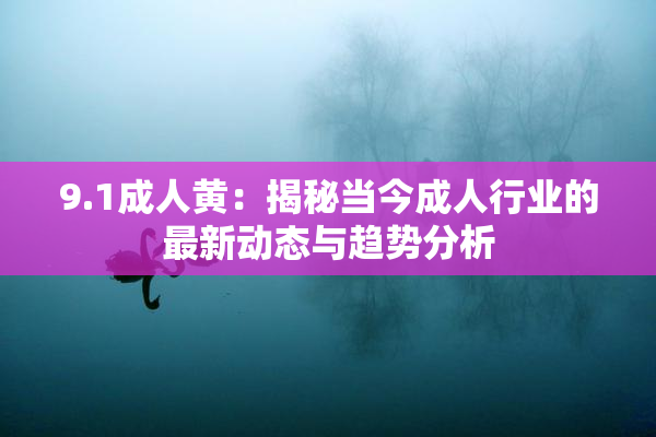 9.1成人黄：揭秘当今成人行业的最新动态与趋势分析