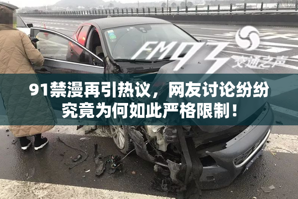 91禁漫再引热议，网友讨论纷纷究竟为何如此严格限制！