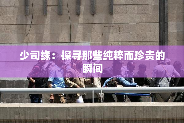 少司缘：探寻那些纯粹而珍贵的瞬间